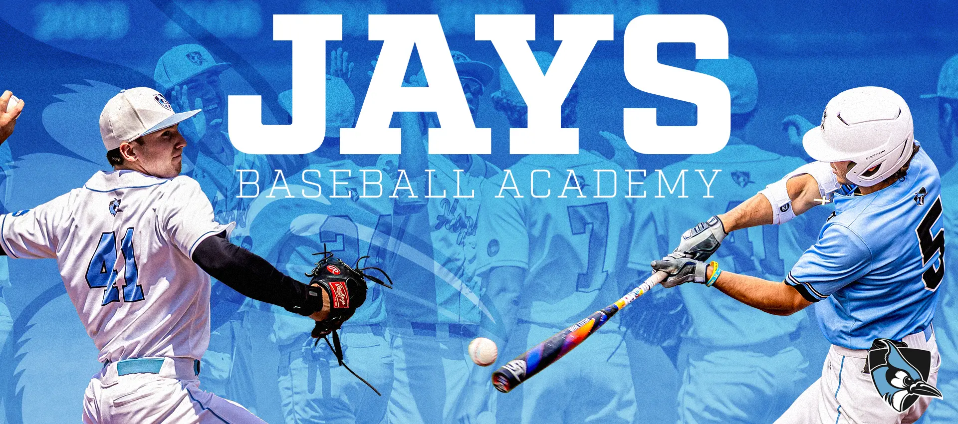 Jays Baseball Academy